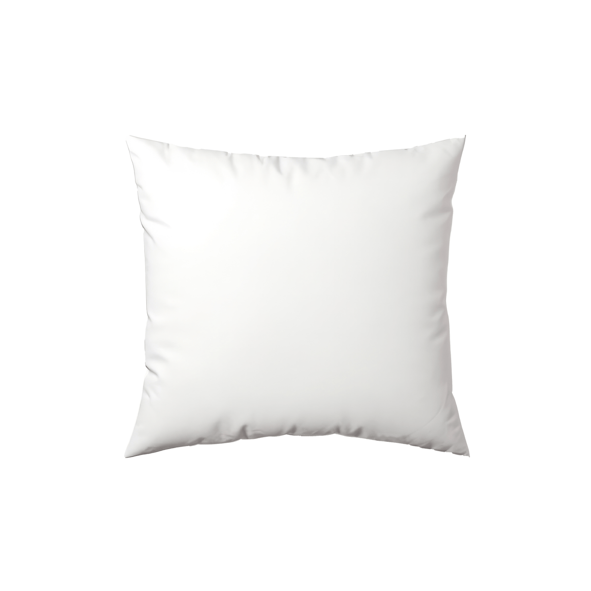 Pillow Insert - White | 20x20